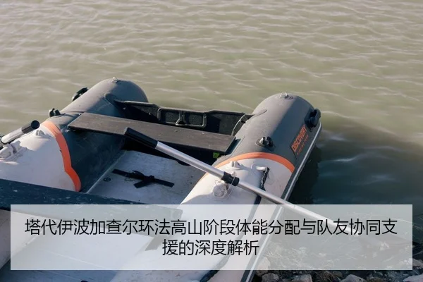 塔代伊波加查尔环法高山阶段体能分配与队友协同支援的深度解析